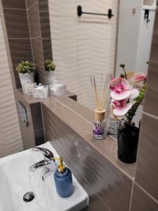 ABC - Aleje Blisko Ciebie - apartament w centrum Częstochowy