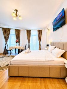 Belle Epoque Victoriei Apartment
