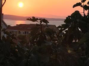 Apartmani Focic