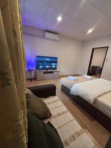 Mango Hostel - 420 Friendly