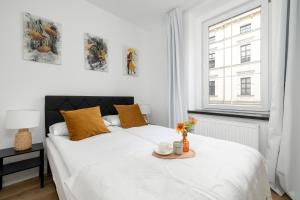 Cozy Apartments in Katowice Center by Noclegi Renters