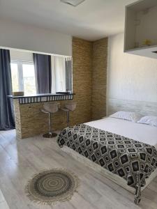 Leyla Studio Ultracentral Pitesti