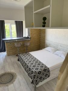 Leyla Studio Ultracentral Pitesti