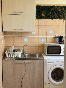 Leyla Studio Ultracentral Pitesti