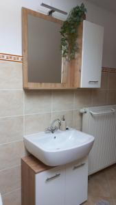 Apartment Rozika