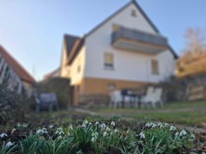 Ferienhaus Werratalsee