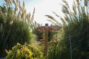 Amália Beach Quinta! 5 Min Coast! Shared Outdoors