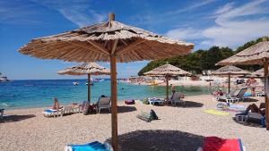 Apartment Primosten Adiomare