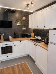 Irena LUX Family Centrum - Free Parking, NETFLIX Cinema, 2 Queen beds
