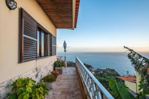 White Rabbit I by Homie