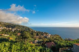 White Rabbit I by Homie