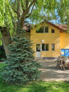 Pension Puiu