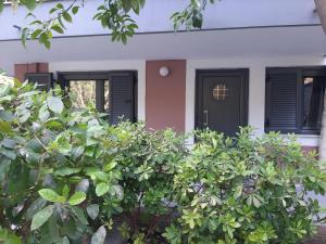Hidden Garden Studio