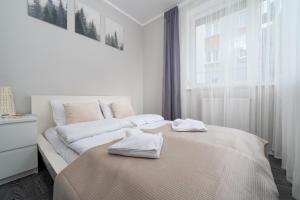 Apartamenty Izerskie