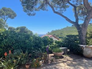 Studio bord de mer avec jardin dans villa ancienne