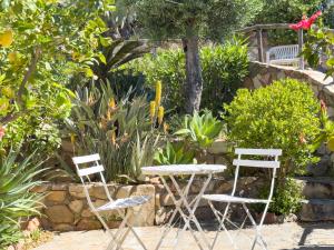 Sterlizia, vista mare img33