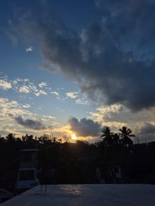 Aurelia Stay Galle