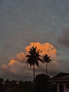 Aurelia Stay Galle