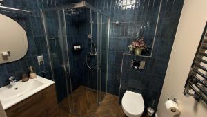 Apartament 500 metrów od zamku 3