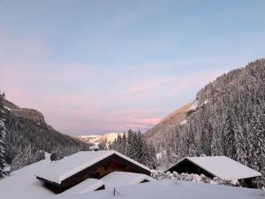 Chalet PLJ