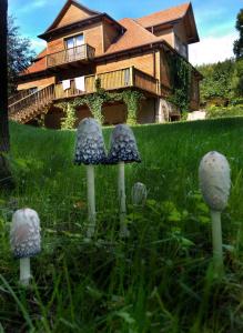 Gałęziówka, Doły Biskupie
