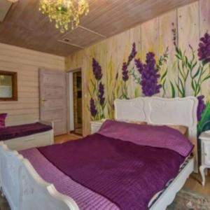 Domki apartamenty plaża jacuzzi sauna