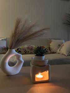 Centrally Located Modern Cozy 2BHK APT