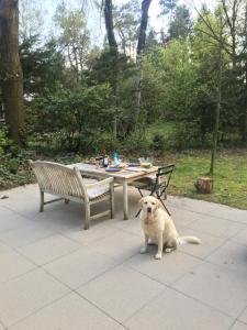 Natuurhuisje Even Niets