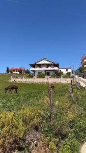 Villa Xherimeja Family Oasis