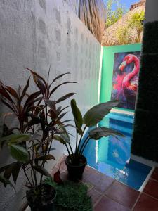 Casa Macarena