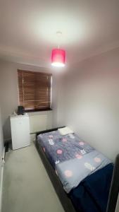 Your Little Home Away From Home