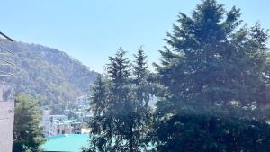 Premium 2BHK near Kainchi Dham