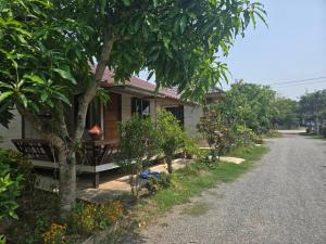 Cocoa Hut