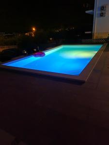 Apartment Dolphin