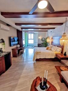 Luxury Studio 204 in Zona Romantica