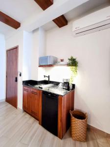 Luxury Studio 204 in Zona Romantica