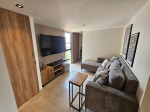 Gran Nuevo Penthouse Frente al Parque Providencia
