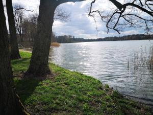 Mazurska Puszcza