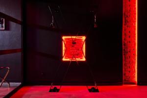 Loveroom Ô Diable Des Plaisirs
