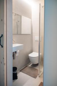 Luxurious Suite - Train Station Deinze
