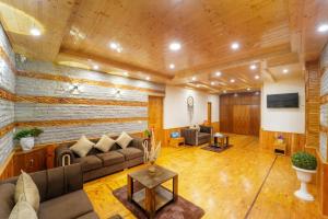 Olive Grand View