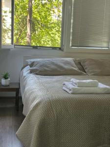 Apartment in the center of Skopje