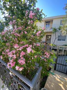 Green Line Guesthouse