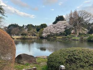 Park side stay Shinjuku
