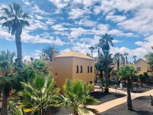 Comfortable apartment with terrace 5 minutes from the beach-dunes