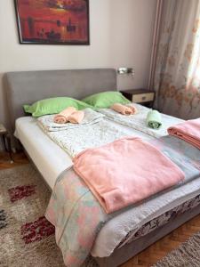 Apartman Rajna Free PARKING