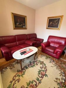 Apartman Rajna Free PARKING