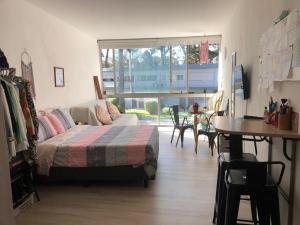 Loft Paz, Verde y Conectividad