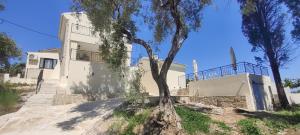 Lithos Courtyard