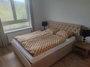 Apartmán pod Chočom